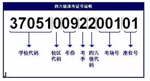 新澳开奖记录今天结果查询表,灵活性方案解析