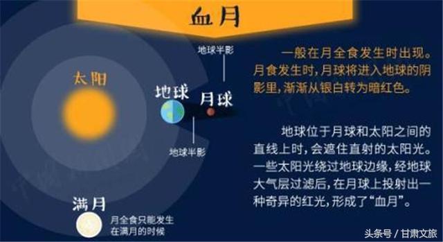 2025今晚澳门天天开彩免费｜创造力策略实施推广