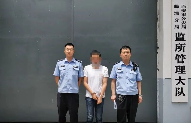 临潼最新盗窃案深度解析与应对策略