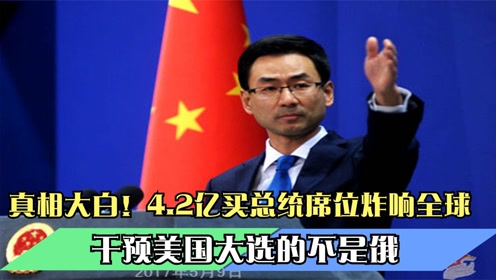 美国大选最新实情深度解析与观察