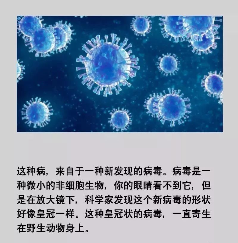 最新冠状病毒信息概览，全球疫情现状与应对策略