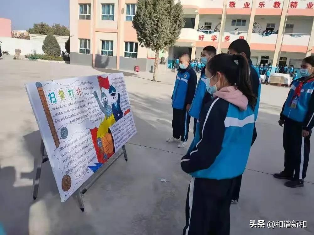 新和县人民政府办公室最新项目概览，洞悉新动向与进展