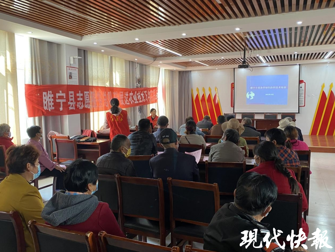 南园村民委员会最新领导团队，引领乡村发展的核心力量揭秘