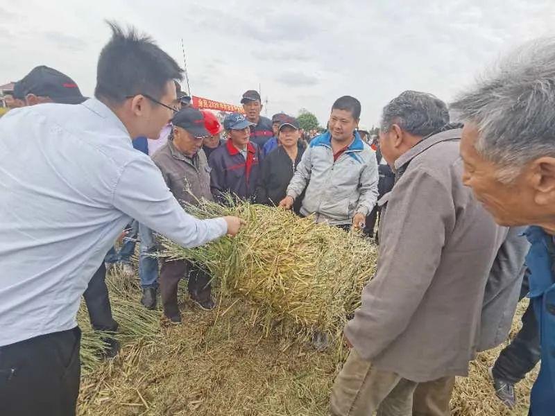 通州市级公路维护监理事业单位的最新动态或新闻