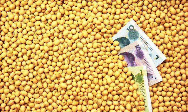 全国最新大豆价格及动态分析概览