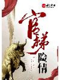 官梯最新章节，权力与责任的交织