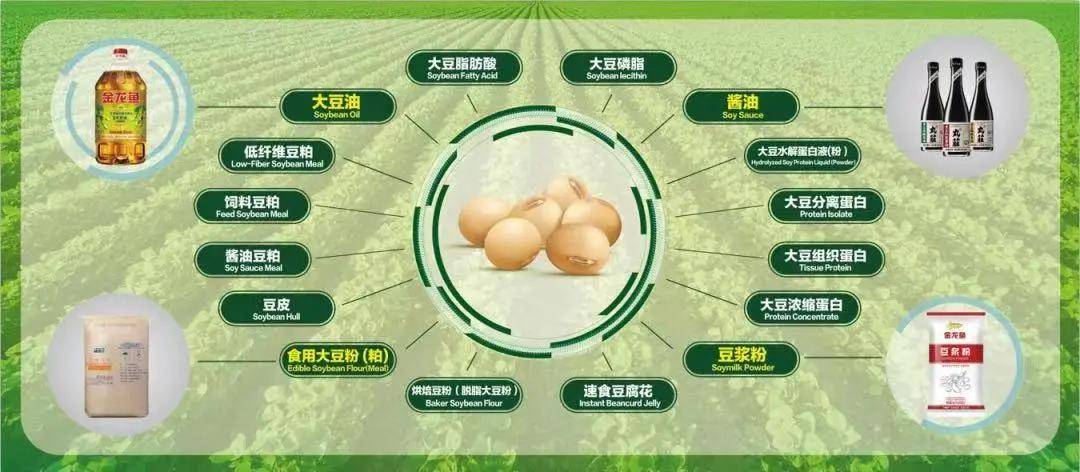 深溪口乡最新发展规划，塑造乡村新面貌，推动可持续发展进程